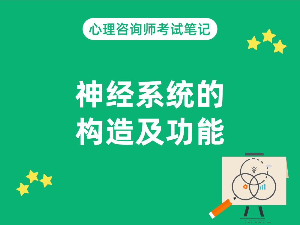 神经系统的构造及功能|心理咨询师考试笔记1.2.1