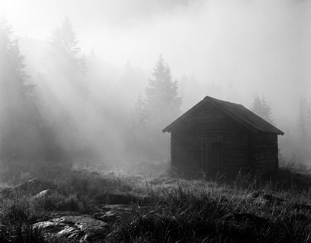 原生家庭的影子，正在悄悄影响你的亲密关系